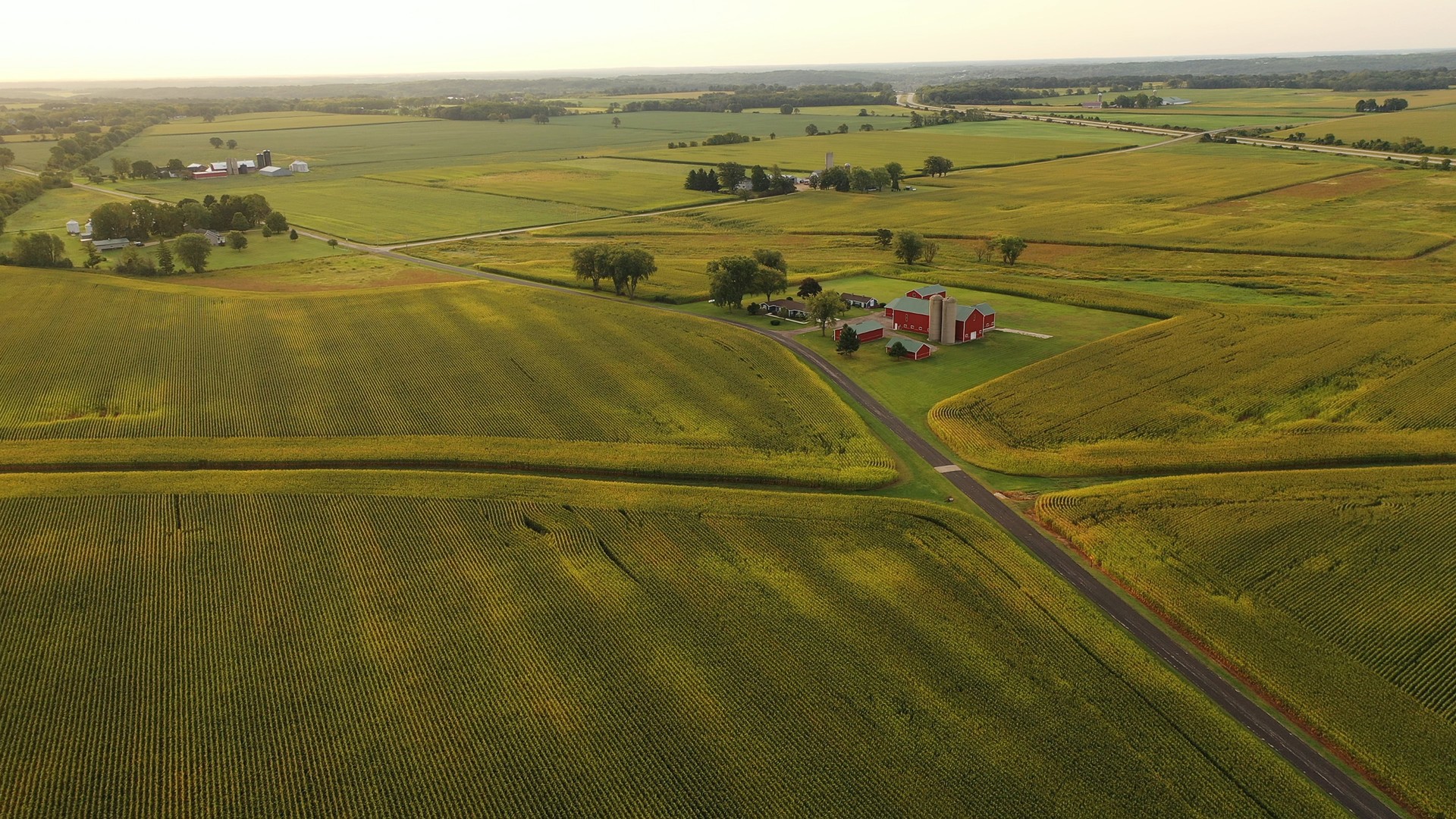 Aerial view of american Midwestern farm, corn field at harvesting season